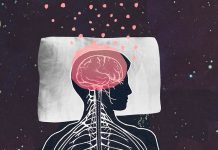 ¿Sabías que tu cerebro se encoge mientras duermes?