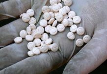 Incautados en Francia 135 kilos de captagón, «droga de los yihadistas»