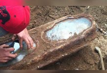 EE. UU: Revelan el misterio de una niña hallada intacta, fallecida hace 140 años