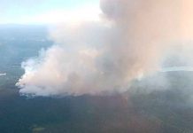Más de 35 mil evacuados por incendios forestales en Canadá
