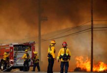 Industria del vino recibe duro golpe por incendios en California