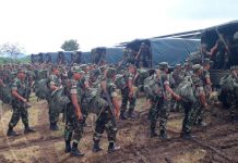 Ejército ejecuta el plan de protección y seguridad de la cosecha de café