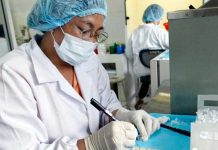 Vacuna contra el Zika desarrollada por EE.UU. y Brasil fue exitosa en ratones