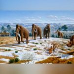 Un exceso de humedad motivó las extinciones masivas de la megafauna