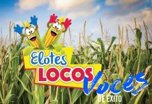Elotes Locos, granos de oro en Nicaragua