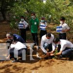 nicaragua, siembra de arboles, italia,