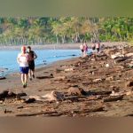 Enfermedades humanas también tienen impacto en medioambiente