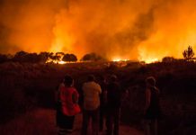 Incendio forestal quema 8.000 hectáreas en la provincia española de León