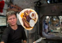 ¿Por qué los astronautas no podían comer pan en el espacio?