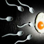 Científicos descifran cómo «navegan» los espermatozoides