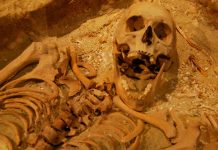 Siguen descubriendo esqueletos en ‘la isla de los asesinatos’