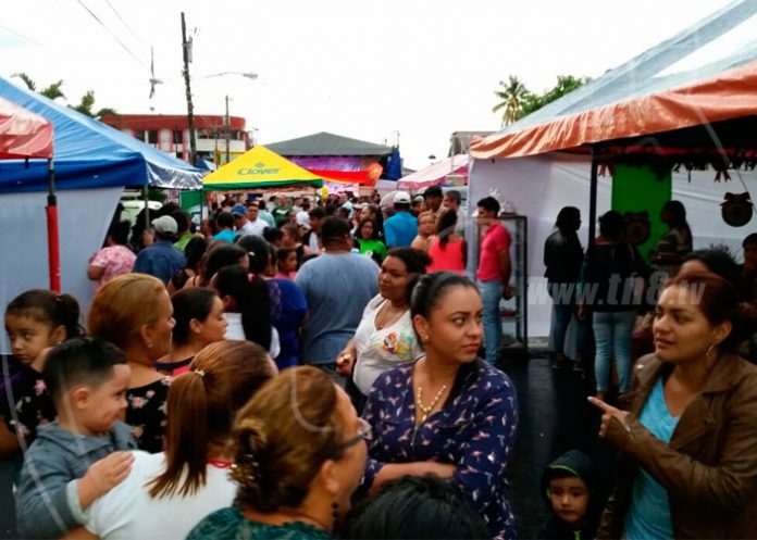 esteli-3