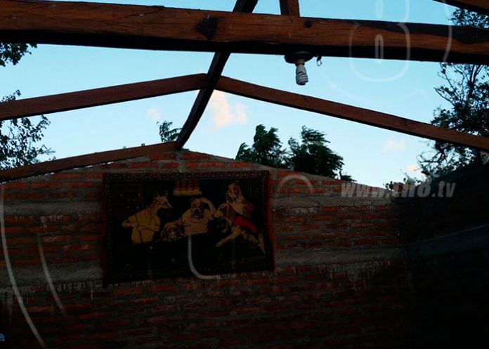 esteli23