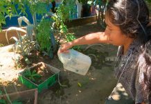 Estudiantes principales protagonistas en ambientes escolares