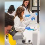 Las inmunoterapias demuestran su eficacia contra diversos cánceres