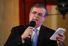 mexico, extradicion, delincuencia, florian tudor,