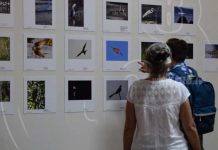 Nicaragua: Granada celebró el Tercer Festival Internacional de Aves