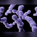 ¿Puede matarte una faringitis?