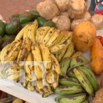 Feria de salida de cosecha en plaza 22 de agosto managua, cosechas, feria, nicaragua,