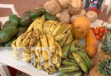 managua, cosechas, feria, nicaragua,