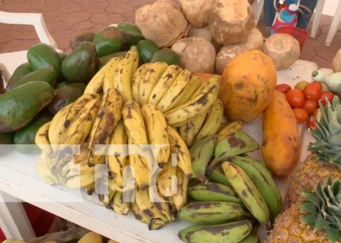 feria23 managua, cosechas, feria, nicaragua,