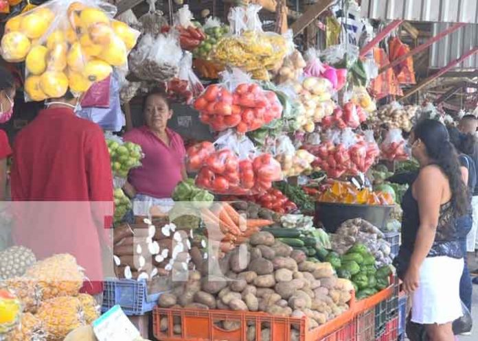 festival-3 nicaragua, ocotal, mercado, ofertas,