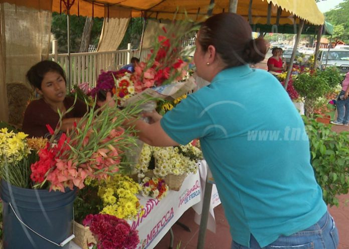 flores2