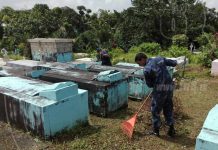 Inician en Bluefields actividades por aniversario del Ejército y la Fuerza Naval