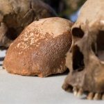 Nuevas evidencias sobre origen de Homo sapiens asestan golpe a noción de raza