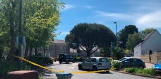 francia, policia, herido, ataque