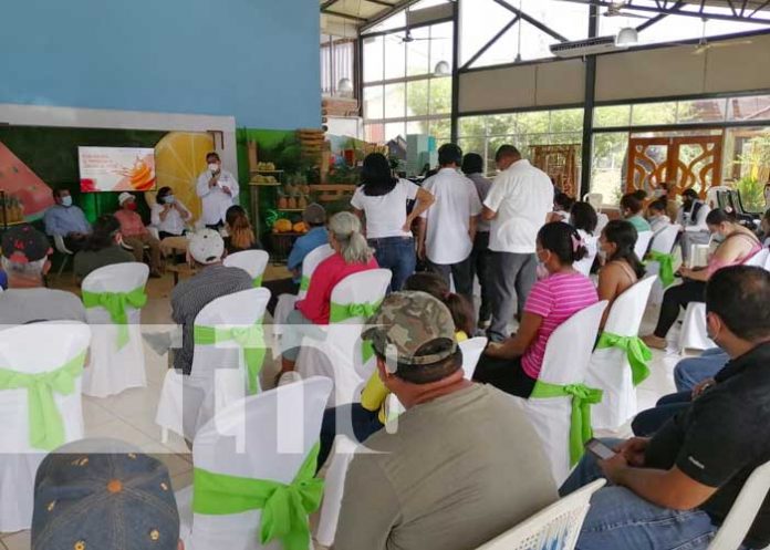 frutas-nicaragua-03 nicaragua, frutas, consumo, plan nacional,