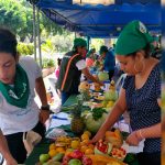 Jóvenes organizan primer festival del arte frutal