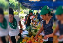 Jóvenes organizan primer festival del arte frutal