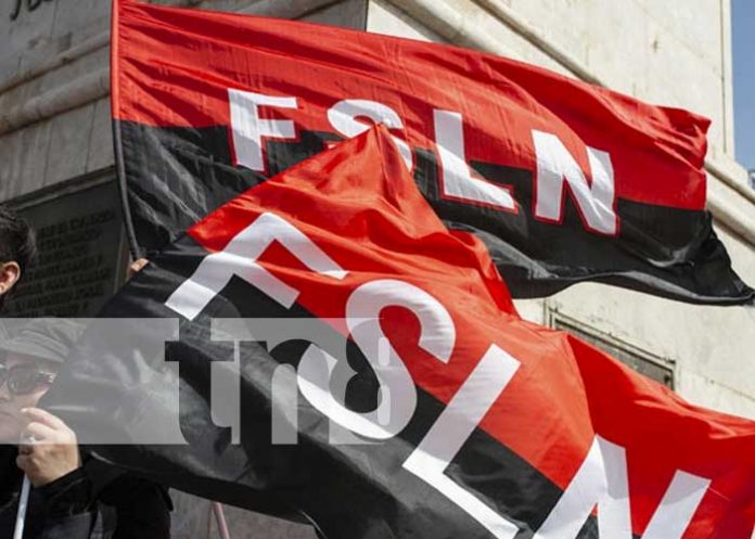 nicaragua, organizacion, fsln, elecciones,