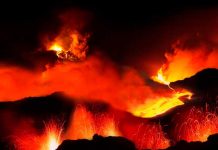 Nuevas claves sobre la extinción más grande del planeta