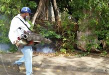 Barrio Jericó de Managua declara guerra contra las epidemias