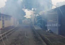 Con fumigación se previene enfermedades en el Barrio 380
