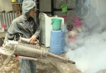 Managua: Barrio Larreynaga en guerra contra zancudos