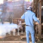 nicaragua, managua, salud, fumigacion, zancudos,