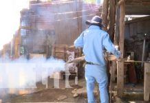 Búsqueda y eliminación de zancudos en el barrio Germán Pomares, Managua nicaragua, managua, salud, fumigacion, zancudos,