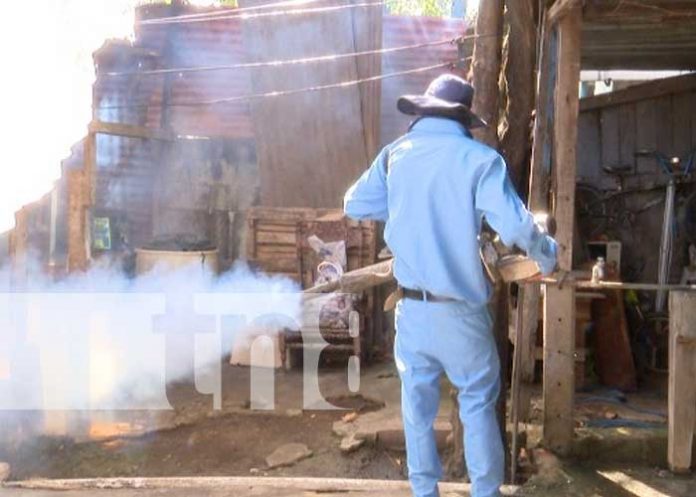 nicaragua, managua, salud, fumigacion, zancudos,