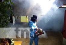 Limpieza y salud en los hogares con fumigación del MINSA en Managua nicaragua, salud, fumigacion, managua, minsa,
