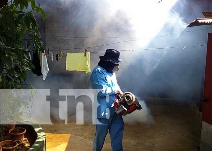 nicaragua, salud, fumigacion, managua, minsa,