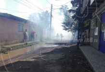 Jornada de fumigación en Managua con resultados positivos