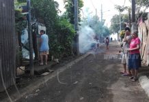 Jornada de fumigación para erradicar enfermedades en el barrio Jonathan González
