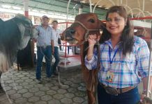 Alta ganadería en EXPICA