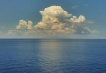 Gas venenoso podría ser causa de extinción masiva prehistórica