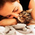 Esta es la terrible realidad detrás de los apretujones a los gatos