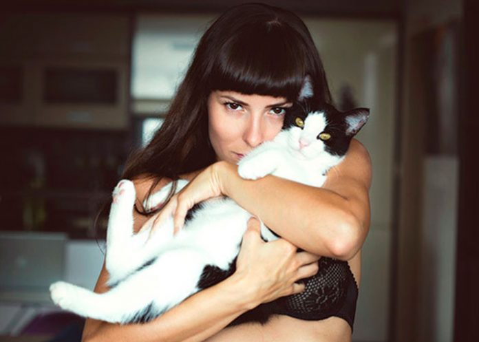 gatos