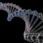 Un estudio vincula edad parental con nuevas mutaciones genéticas de los hijos